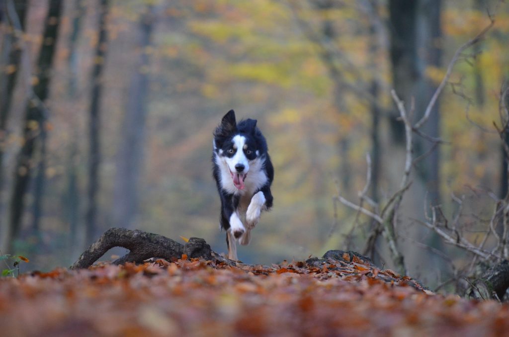 I don’t always run, but when I do, I sprint.